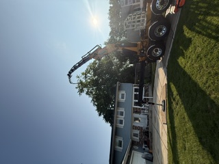 Tree Removal